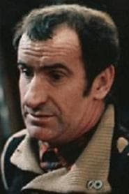 弗拉基米尔·克雷梅纳