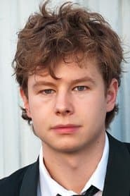 皮特里·威林克