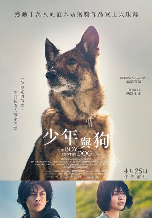 少年与犬
