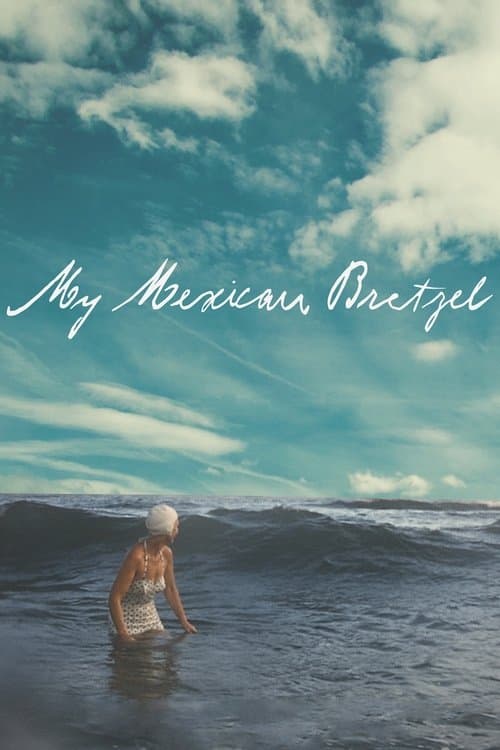 我的墨西哥椒盐脆饼