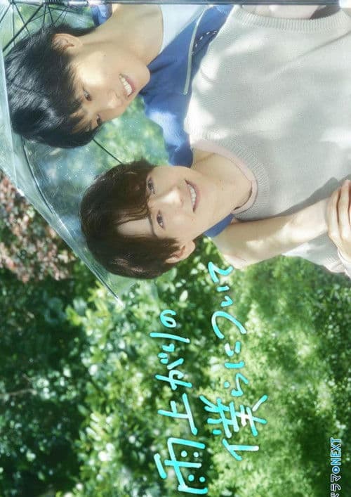 雨过天晴的我们