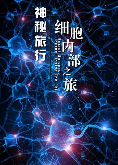 神秘旅行:细胞内部之旅