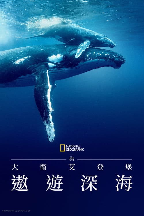 大卫·爱登堡：海洋