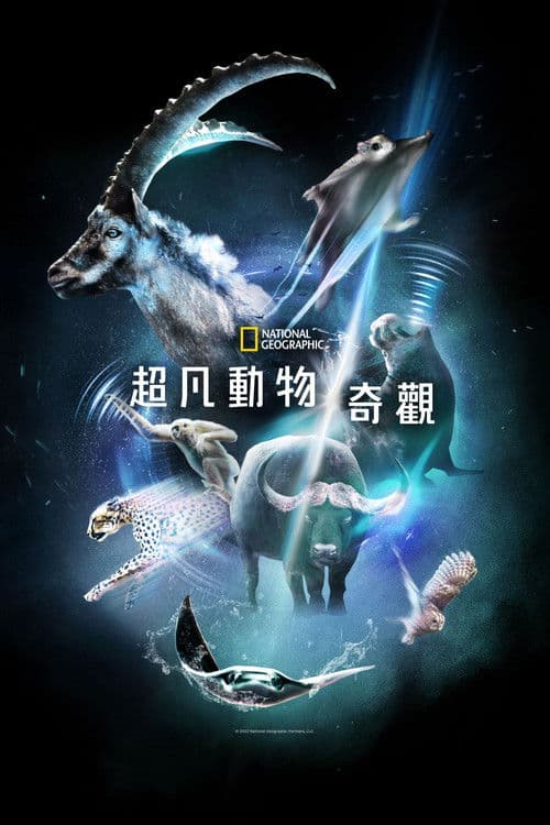 超凡动物奇观