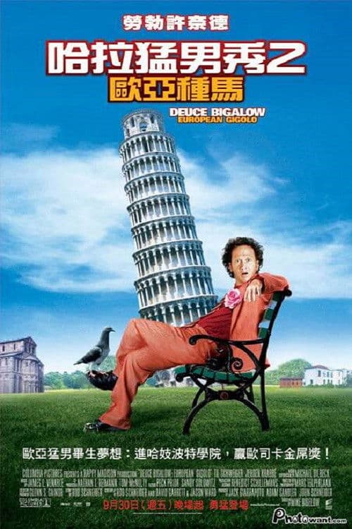 哈拉猛男秀2:欧洲种马