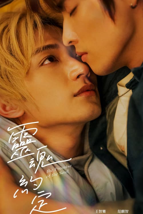 灵魂约定