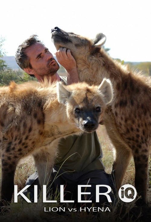 杀手的智力：狮子VS鬣狗