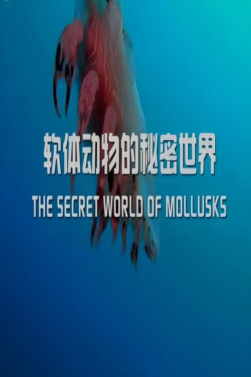 软体动物的秘密世界