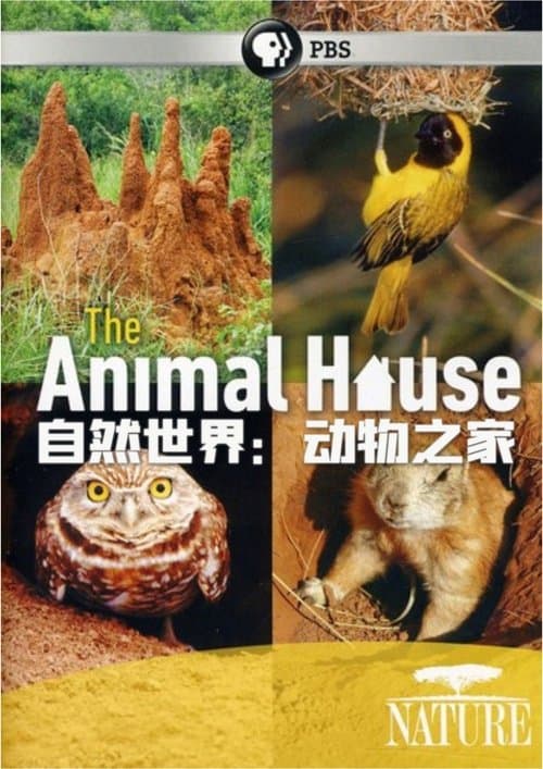 自然世界：动物之家