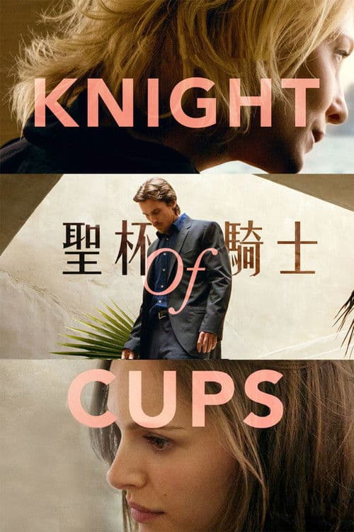 圣杯骑士