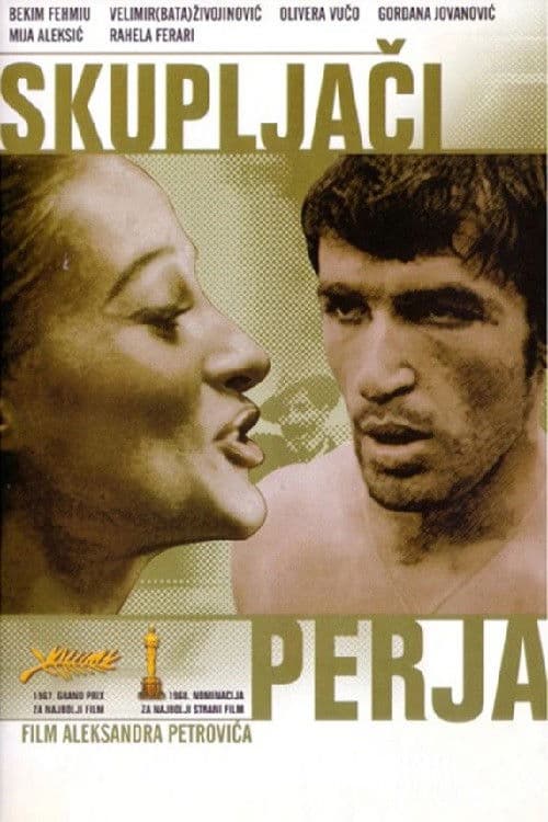 快乐的吉普赛人