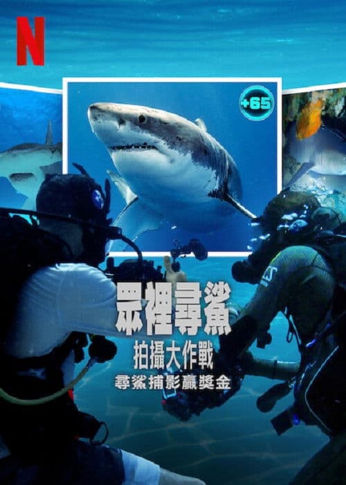 众里寻鲨：拍摄大作战