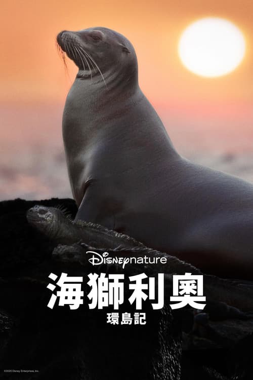 海狮利奥环岛记