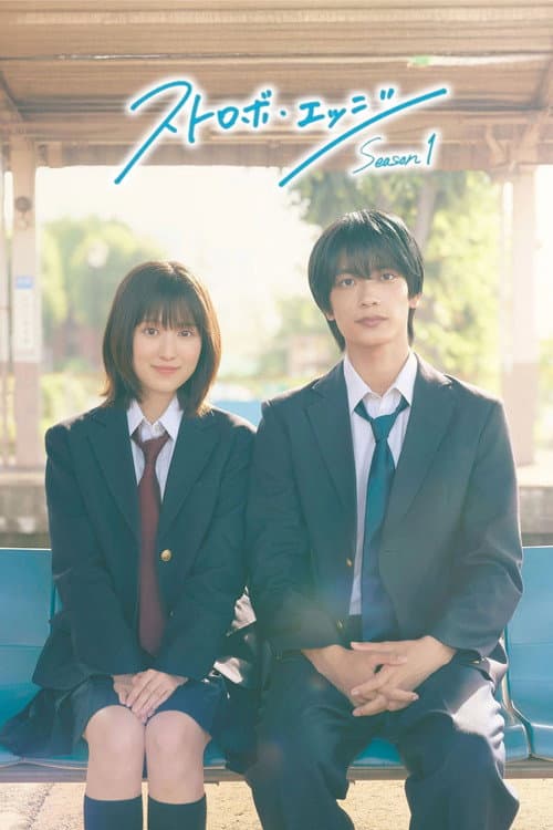 闪烁的爱情第一季