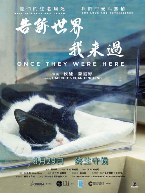 告诉世界我来过