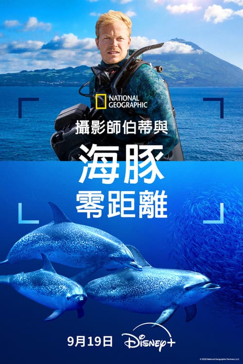 摄影师贝尔蒂与海豚零距离