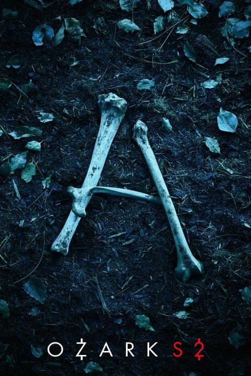 黑钱胜地第二季