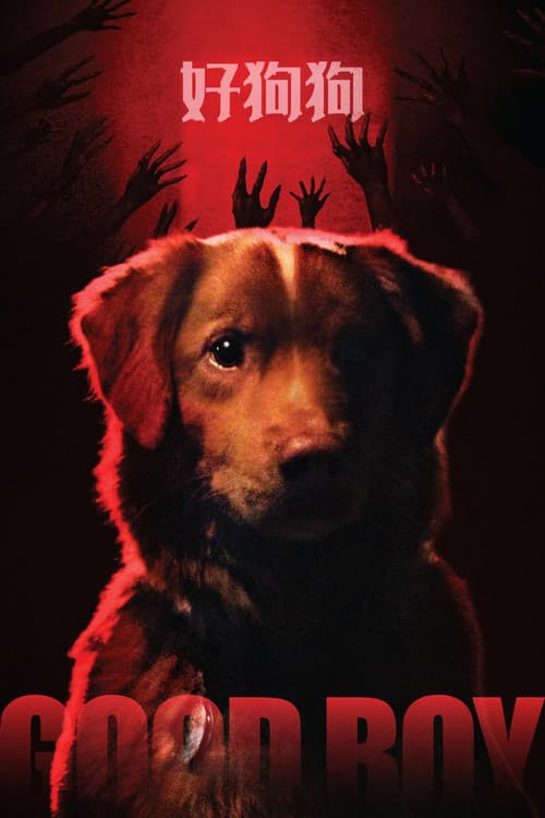 好狗狗