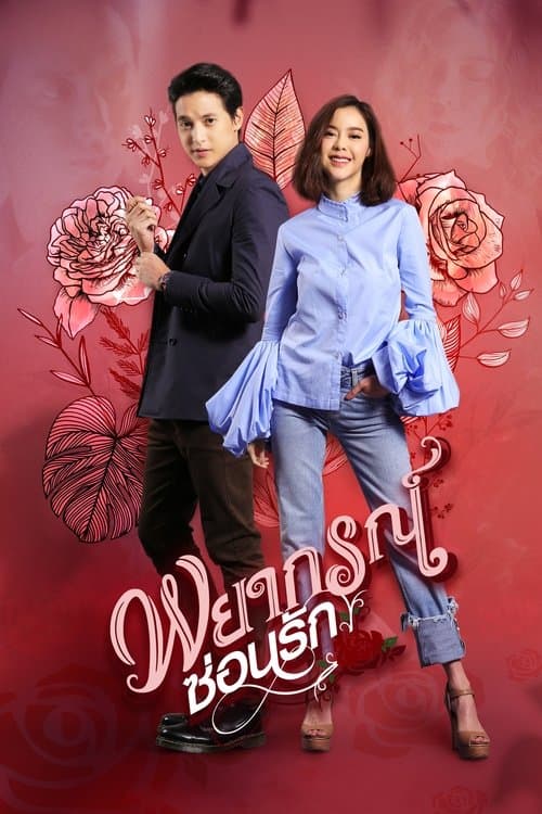 玫瑰奇缘恋与大明星