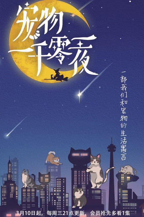 宠物一千零一夜