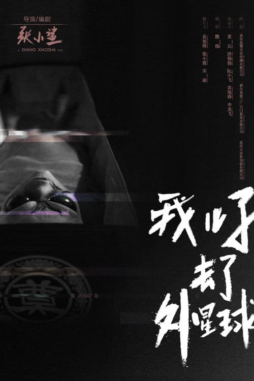 我儿子去了外星球