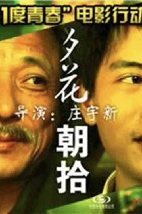 11度青春之《夕花朝拾》