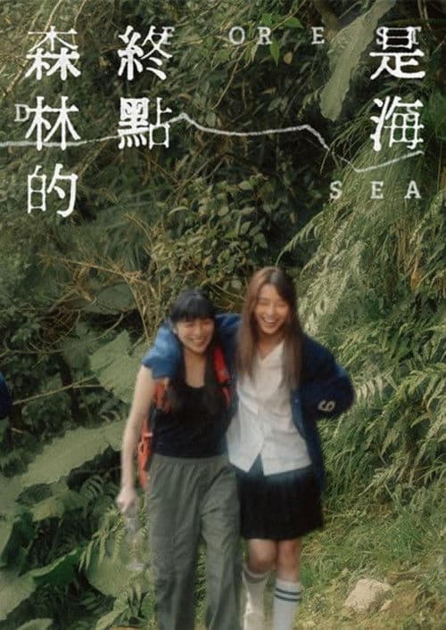 森林的终点是海