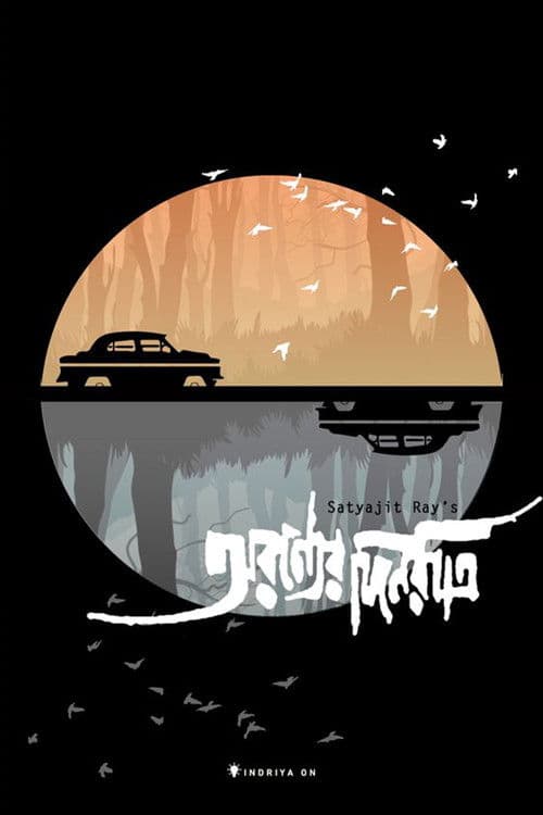 森林中的日与夜