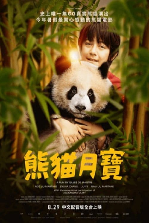 熊猫月亮