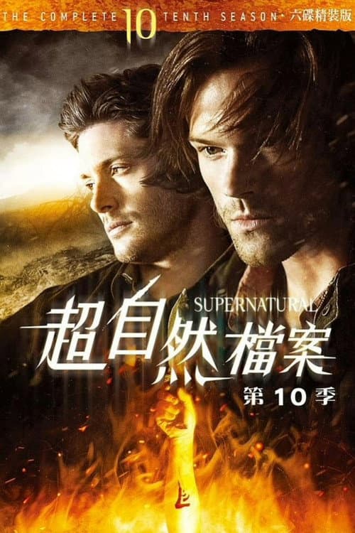 邪恶力量第十季