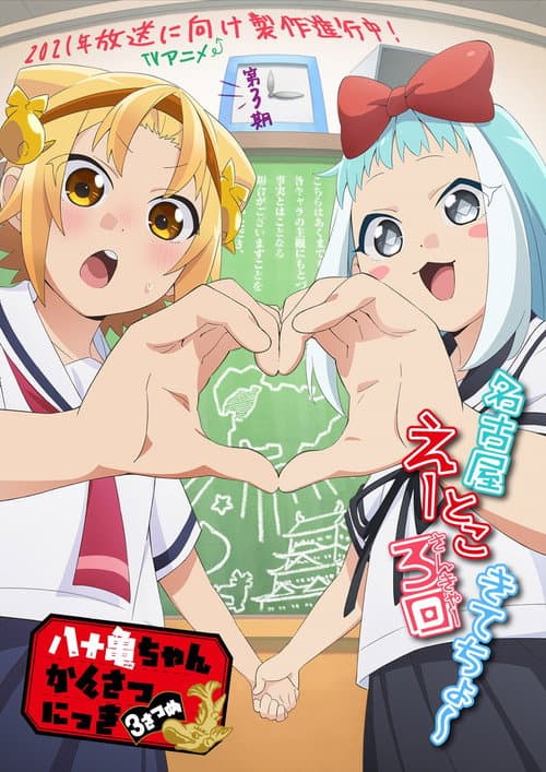 八十龟酱观察日记第三季