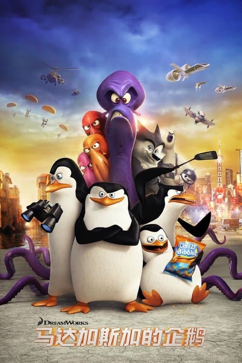 马达加斯加的企鹅