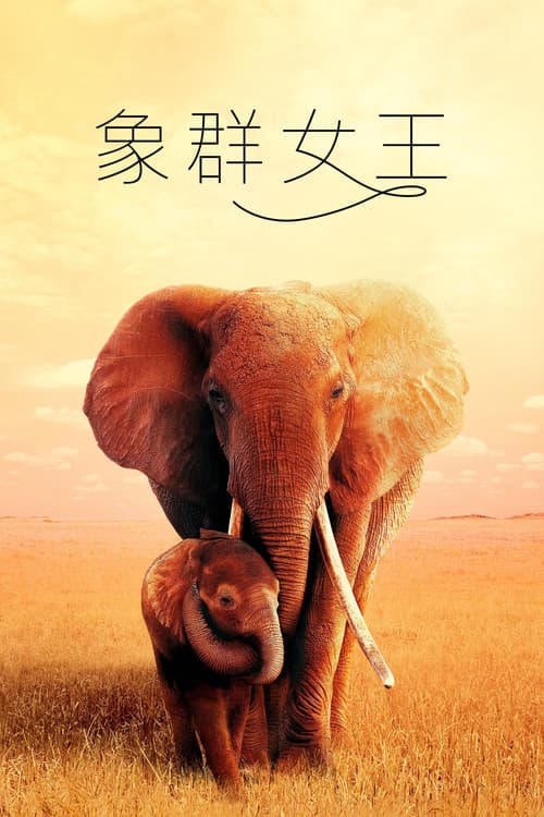大象女王