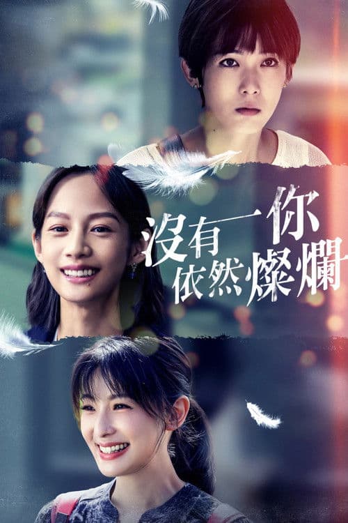 没有你依然灿烂