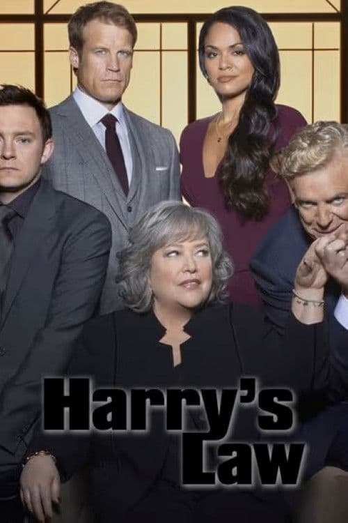 鞋店事务所 第二季