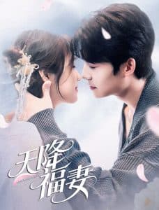 天降福妻