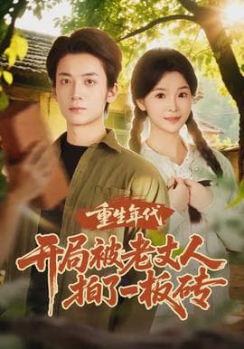 重生年代开局被老丈人拍了一板砖